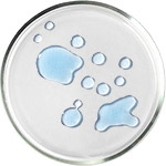 מוצרי טיפוח עם חומצות אמינו ו-NMF