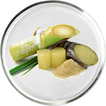 מוצרי טיפוח עם חומצה גליקולית