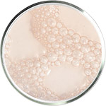 מוצרי טיפוח עם חומצה לקטית