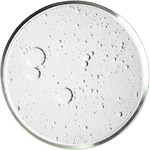 קוסמטיקה עם פפטידים