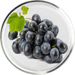 מוצרי טיפוח עם רסברטרול