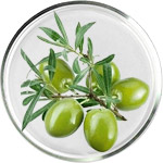 טיפוח העור עם סקוואלן